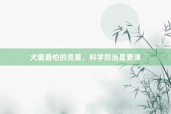 犬瘟最怕的克星，科学防治是要津