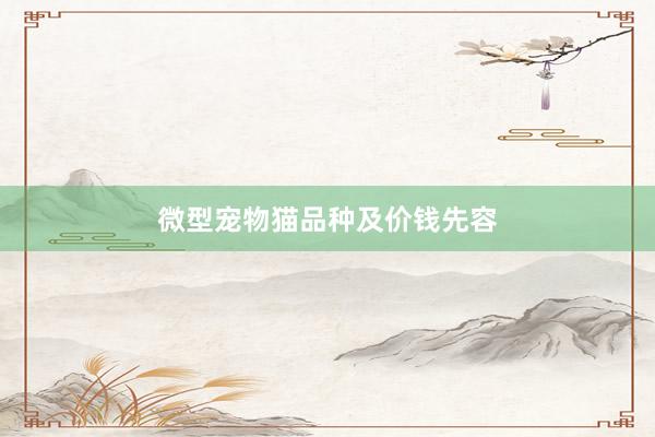 微型宠物猫品种及价钱先容