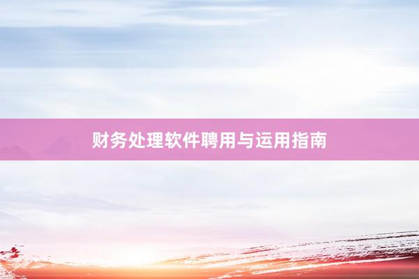 财务处理软件聘用与运用指南