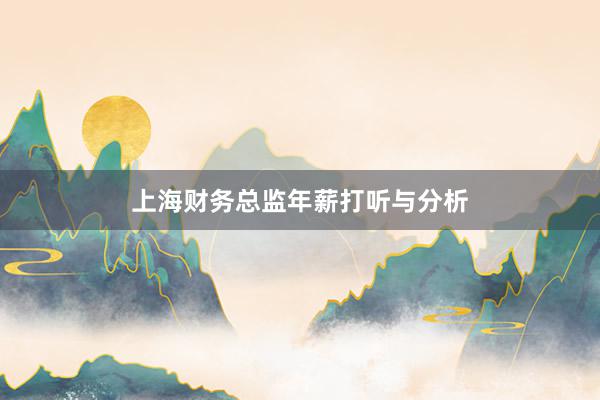 上海财务总监年薪打听与分析